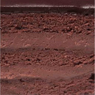 tort image