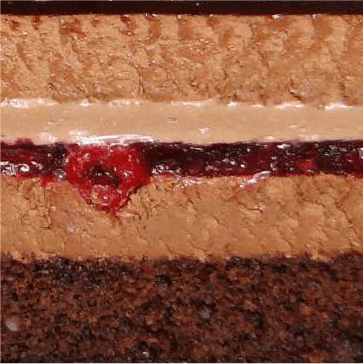 tort image