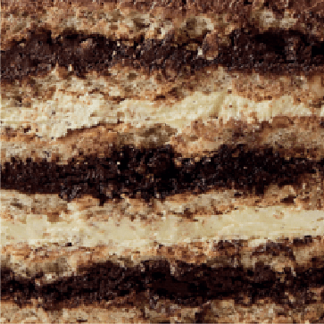 tort image